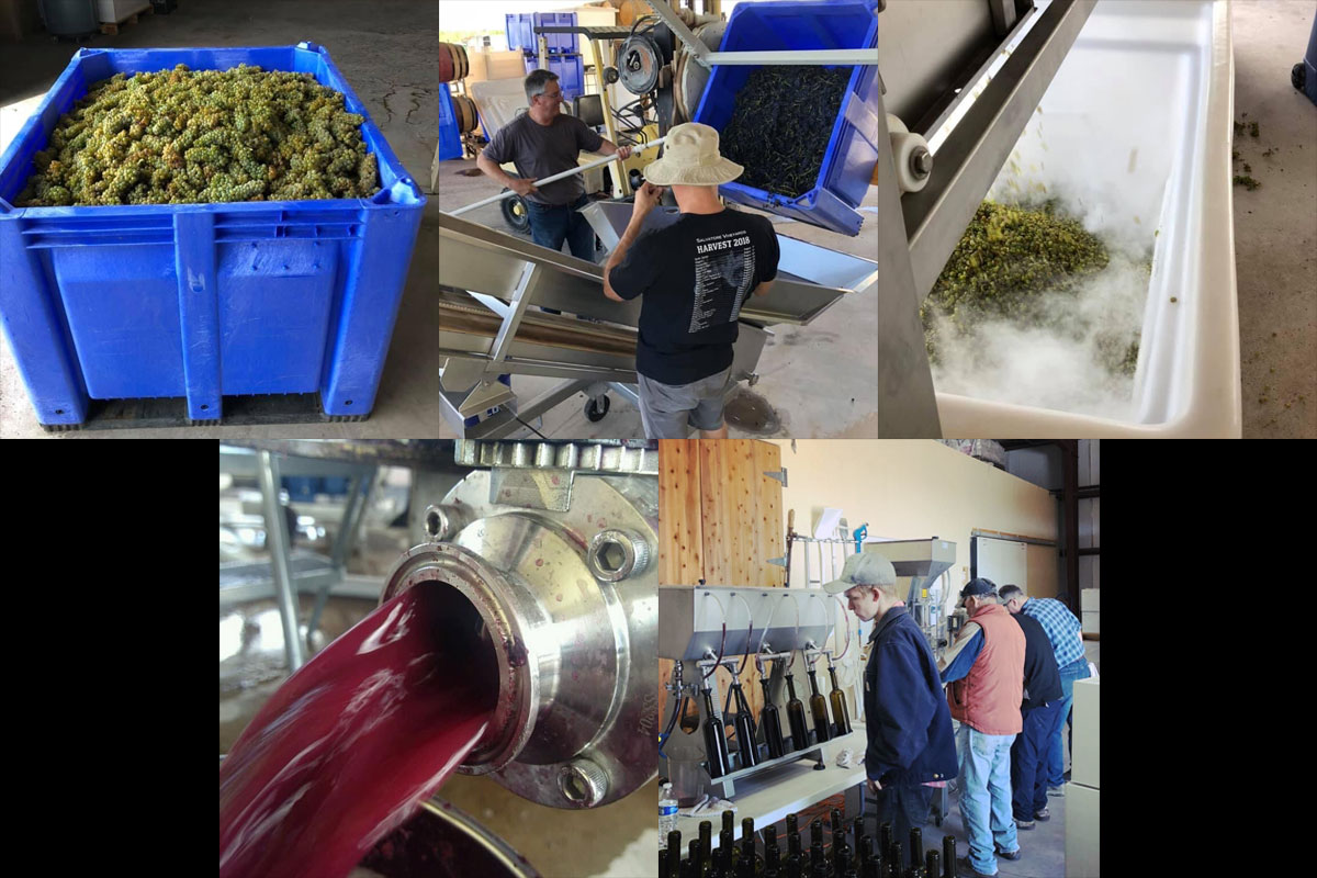 Winery Operations